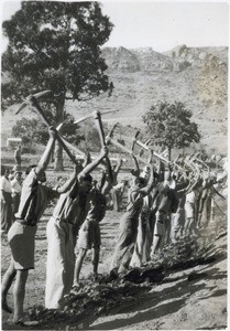 Creation of a soccer field in the teacher's training college of Morija