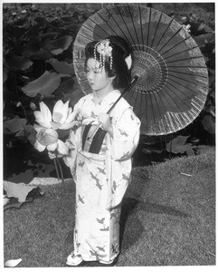 "The breath-taking beauty of the lotus blossoms which are in full bloom on the north end of Echo Park Lake, had delighted hundreds of thousands of Angelenos and visitors"--caption on photograph