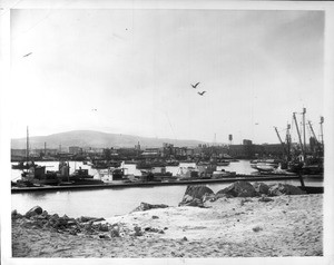 "Fish Harbor in Terminal Island, operating base for the Japanese fishing fleet. In the background are some of the canneries."--caption on photograph