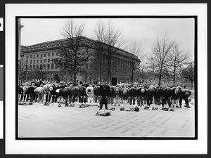 Muslim men at prayers and rally, Freedom Plaza, Washington, D.C., 2002