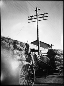 12 photographs of Korea, 1939