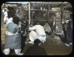 Farmer and family