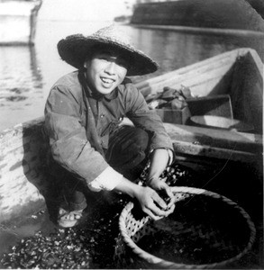 Japanese fisherman sorting oysters