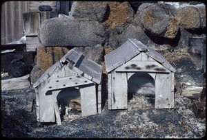 Dog shelters outside of Ernest Shackleton's hut, Antarctica, 1981