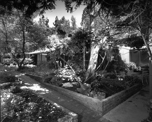 View of a courtyard of the Julius Shulman House and Studio, Los Angeles, 1949-1950