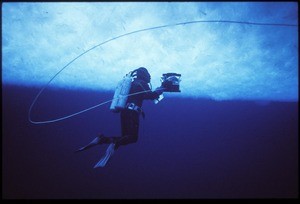 USC Dean of Research Donal Manahan working underwater in Antarctica, 1980s