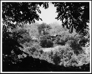 Exterior view of the Daugherty Residence, Los Angeles