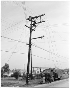 Power lines down, 1954