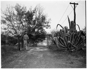 Dulinow eviction (land grab), Canoga Park, 1953