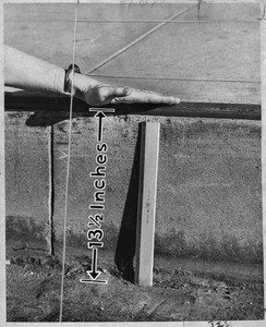 Curb height measured at 13½ inches with ruler and hand, Los Angeles, 1953