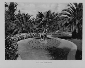 The Palm Walk in the Upper Garden of Busch Gardens, ca. 1910-1940