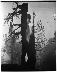 Big Pines fire, 1953