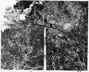 Close-up of street sign for Tigertail Road, Brentwood Hills, 1959