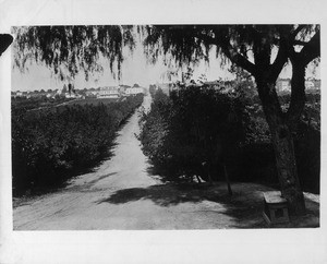 Colorado Street, Pasadena, 1884