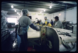 Tri-Marine Fish Company, San Pedro, 2004