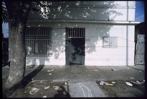 Commercial strip along Avalon Boulevard between East 40th Place and East Vernon Aven ue, Los Angeles, 2004