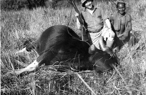 Mark Moody and Meo guide beside a sladang (saladang) carcass in French Indochina