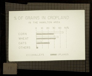 Percentage of grain in cropland in the Hamilton area (map)