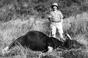 Mark Moody beside a slain sladang (saladang) carcass in French Indochina