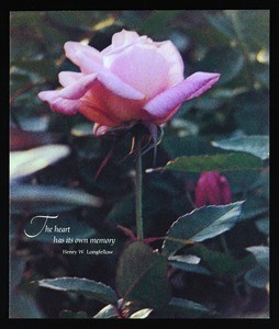 Mason, card, 1974, to Mallory