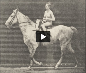 Horse Tom walking, saddled with nude female rider