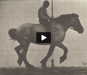 Horse Hansel cantering, bareback with rider