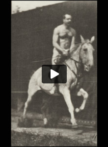 Horse Pandora jumping a hurdle, saddled with nude rider