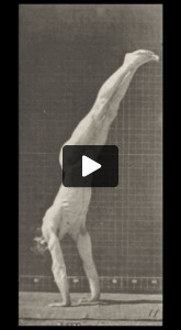 Male acrobat wearing pelvis cloth perfroming vertical press up