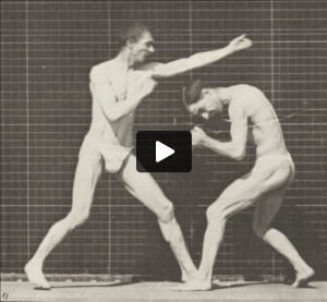 Two men in pelvis clothes boxing