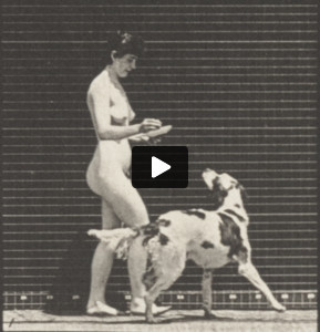Nude woman feeding a dog