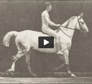 Horse Smith trotting, bareback with nude rider