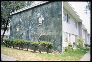 The murals of Estrada Courts. The peacock, Los Angeles