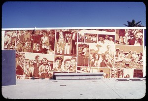 Venice High Yearbook Class of '53, Venice