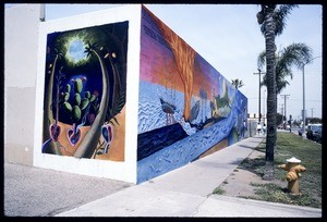 Cactus growing from a heart, Long Beach, 1990