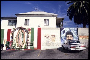 A rising star, Los Angeles, 1988