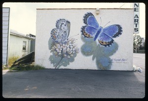 El Segundo Blue, El Segundo, ca. 1994