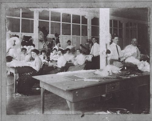 Cawston Ostrich Farm Workroom