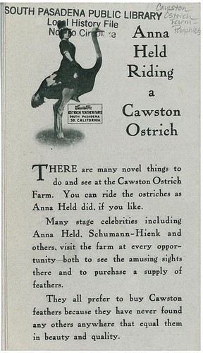 Cawston Ostrich Farm Pamphlet, "Anna Held Riding a Cawston Ostrich" (Back)