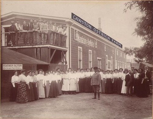 Employees at Cawston Ostrich Farm