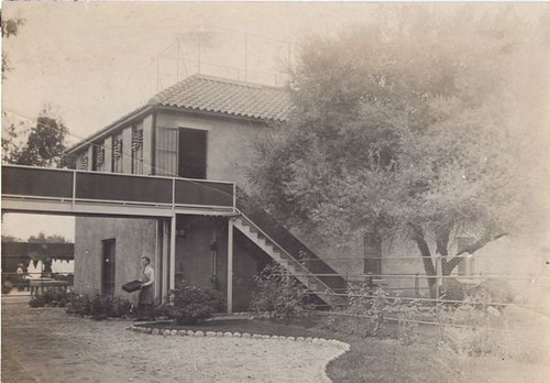 Concrete House at the Cawston Ostrich Farm