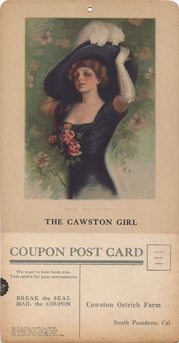 The Cawston Girl, "Rosa"