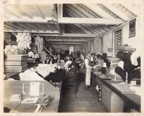 Cawston Ostrich Farm Assembly Room