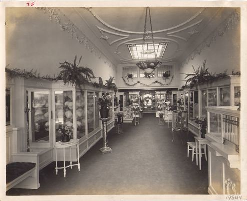 Cawston Ostrich Farm Boutique Interior, Los Angeles, CA