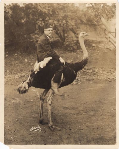 Herbert Vatcher Rides an Ostrich at Cawston Ostrich Farm