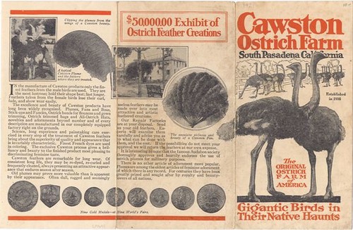 Cawston Ostrich Farm Pamphlet (Front)