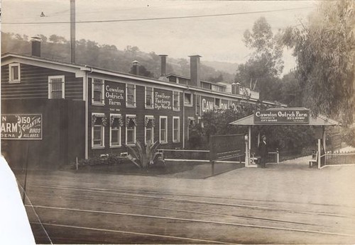 Entrance to Cawston Ostrich Farm and Factory