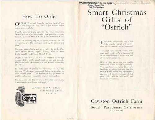 Cawston Ostrich Farm Pamphlet: Christmas Advertisement (Front)