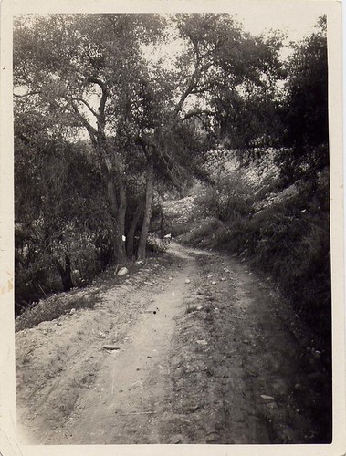 Foot of Road Going Down into the Arroyo