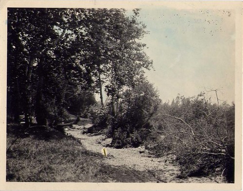 Bridal Trail in the Arroyo