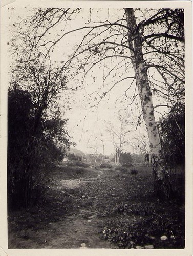 A Creek Bed in Winter in the Arroyo